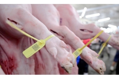 Chỉ cần nấu chín kỹ là an toàn: Đúng nhưng chưa đủ