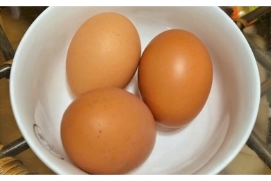 Có cần bổ sung protein trong mỗi bữa ăn? Góc nhìn thực tế từ bữa ăn văn phòng